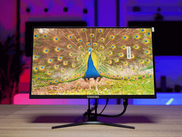 Màn hình Coocaa 22 inch C215J01