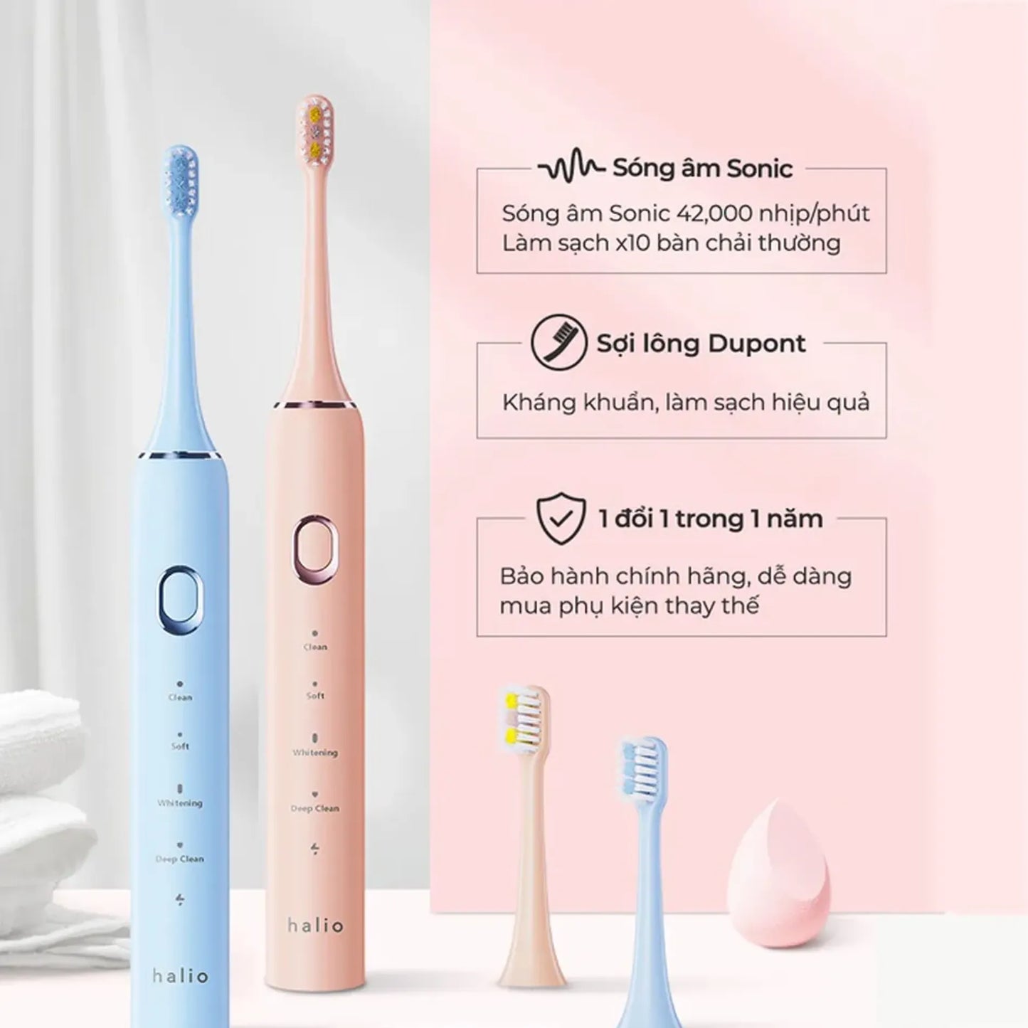 Bàn chải điện Halio Sonic SmartClean Electric Toothbrush - Sky Blue - Coral